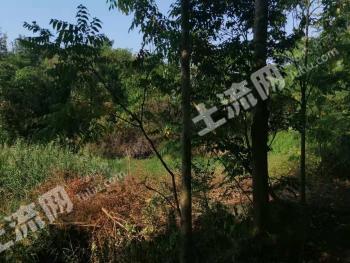 北海海城区 8000平米 度假山庄 出租