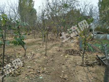 济南市中区3000平米农家庭院经营权出租