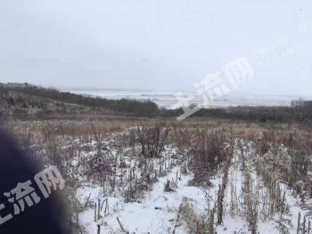 黑河逊克县 900亩 其它耕地 经营权出租