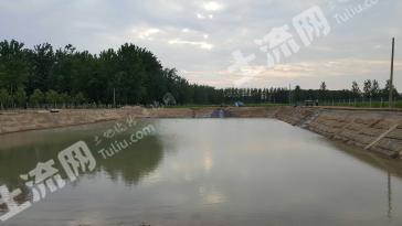 河南商丘 20亩 果园 鱼塘枣树地