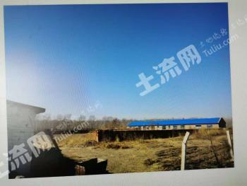 齐齐哈尔泰来县 35亩 畜牧养殖用地 经营权出租