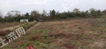 九江瑞昌市 90亩 水浇地 经营权出租