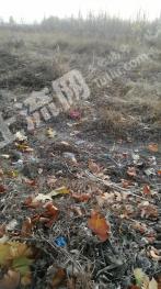 石家庄新乐市 45亩 工业用地 使用权转让