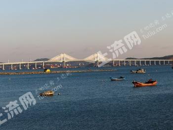 长海县核心地段经济林120亩低价经营权转让