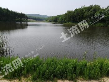 哈尔滨延寿县 130亩 水库水面 经营权转让