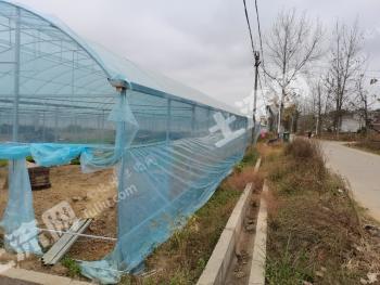 石城县110亩西瓜连体新建大棚经营权流转