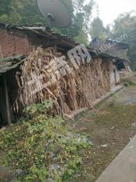 广安广安区 220平米 农家庭院 出租