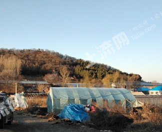 吉林丰满区 36亩 有林地 经营权转让