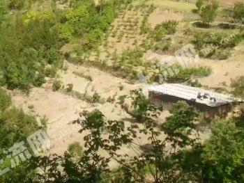 安康白河县 50亩 有林地 经营权出租