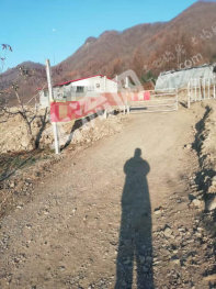 本溪桓仁满族自治县 56亩 农场 经营权转让