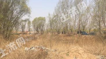 秦皇岛昌黎县 23333平米 商业用地 使用权转让