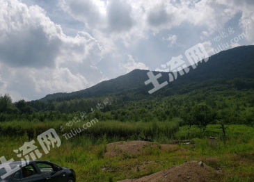 吉林丰满区 140亩 有林地 经营权转让