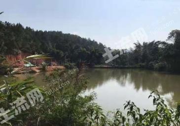 肇庆德庆县 50亩 坑塘 经营权出租