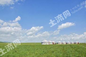 锡林郭勒盟东乌珠穆沁旗 1400亩 天然牧草地 经营权转让