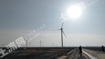 白城镇赉县 8000亩 水田 经营权转让