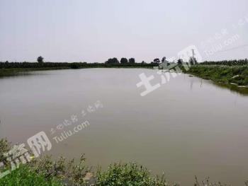 宜昌枝江市 60亩 综合养殖用地 经营权转让