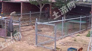 内蒙古乌兰察布丰镇市 50亩 综合养殖用地 经营权转包