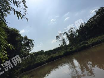 泸州龙马潭区12亩旱地经营权出租（含200颗桂圆树、2亩鱼塘、2亩两层民房）