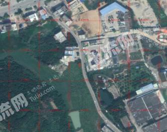 惠州惠東縣290平米宅基地使用權出租