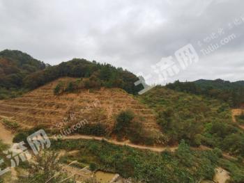 赣州寻乌县17亩果园经营权转让