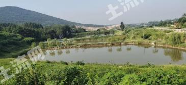 马鞍山博望区 350亩 农场 经营权转让