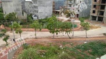 广西防城港 160平米 宅基地 使用权出售