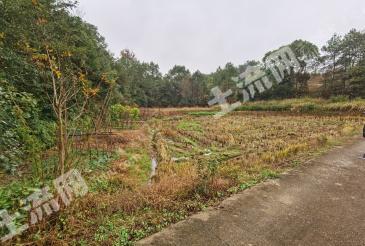 长沙长沙县宅基地使用权流转可合作建房