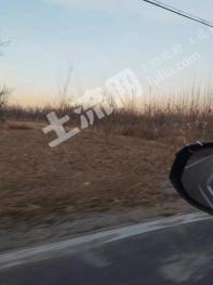 河北沧州泊头市 12亩 水浇地 经营权出租