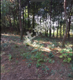 江西上饶2000平米养殖用地经营权出租