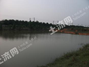 清远清城区 850亩 坑塘水面 经营权出租