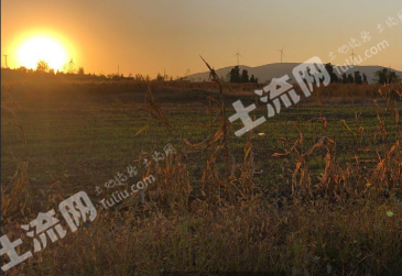 徐州贾汪区 4000亩 畜牧养殖用地 经营权出租