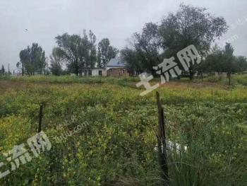 伊犁尼勒克县 50亩 其它园地 经营权转让