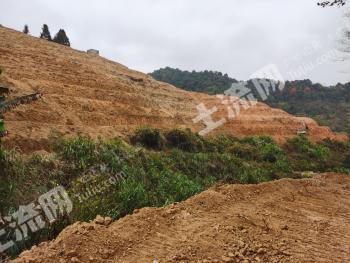 赣州寻乌县30亩果园经营权出租