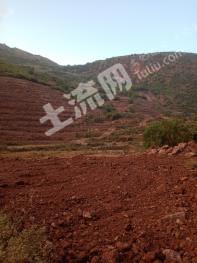 楚雄武定县 300亩 水浇地 经营权出租