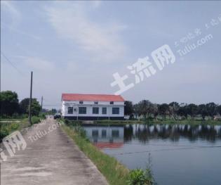 湖南岳阳 45亩 综合养殖用地 经营权出租