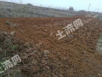 随州随县 20亩 旱地 经营权转包