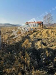 牡丹江宁安市 45亩 其它农用地 经营权出租