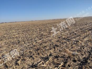 兴安盟扎赉特旗3500亩水浇地经营权转让