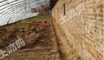 细河区菜园j经营权出租