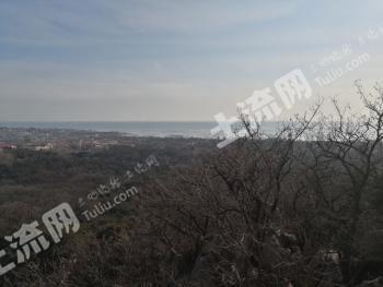 秦皇島撫寧區(qū)500平米宅基地使用權(quán)出租