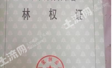 丹东振安区 50亩 果园 经营权转让