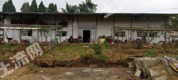 重庆大足区 80亩 农家乐土地 经营权转让