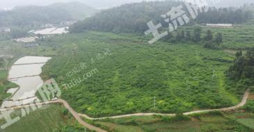 遵义遵义县 150亩 果园 经营权转让