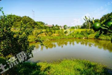 宜昌枝江市 300平方米 农家庭院 使用权出租