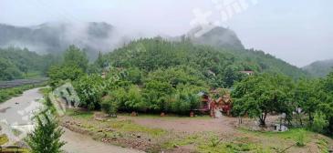 南阳内乡县 183亩 其它林地 经营权转让