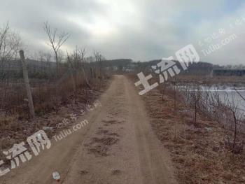 丹东凤城市 40亩 荒地（其中20亩水面） 使用权出租