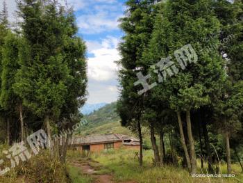 曲靖陆良县 200亩 农场 使用权出租