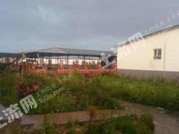 塔城额敏县66666平方米综合用地使用权转让