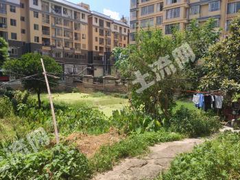 贺州钟山县 906平米 宅基地 使用权出租