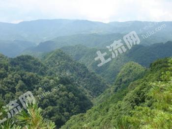 吉林省白山江源区841.5亩林地经营权转让、租赁、合作经营